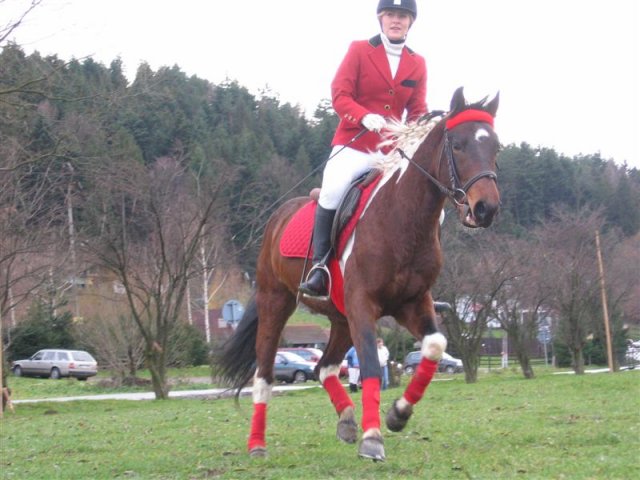Hubertus 2007